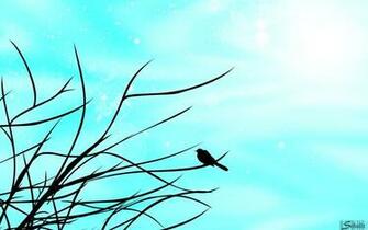 Bird Silhouette Wallpaper