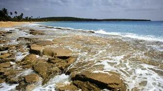 Of Vieques Puerto Rico Wallpaper You Are Ing The Nature