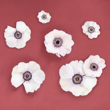 Digital Blooms November Desktop Wallpaper Justinecelina