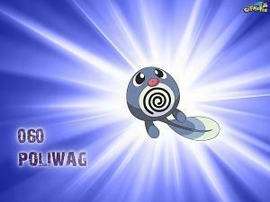Poliwag Wallpaper