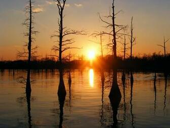 Black Bayou Monroe Louisiana United States Of America Photo
