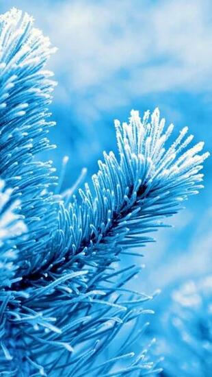 iPhone Winter Wallpaper