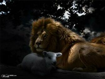 16th Place Entry In Peaceful Predators And Prey