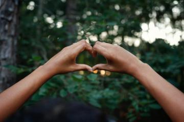 Person Hands Doing Heart Sign Photo Columbia Image