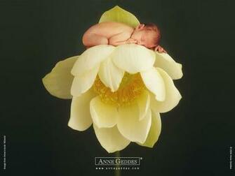 The Reel Foto Anne Geddes Babies Everywhere