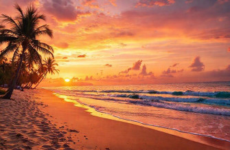Sunny Beach Wallpaper