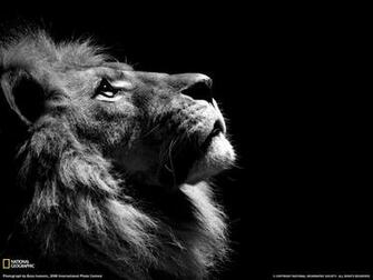 Black And White Pictures Wallpaper Misc