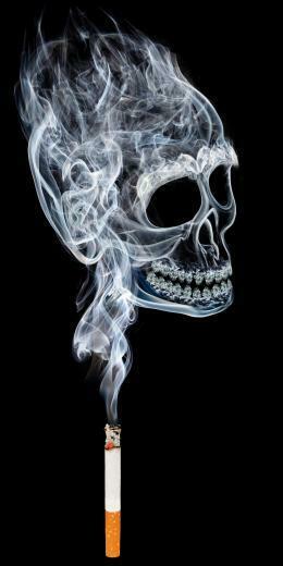 Bad Boy Dslr Background Image HD Studio