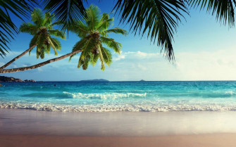 Tropical Beach Landscape Wallpaper HD 4k 5k For