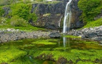 Prehistoric Background Ing Gallery