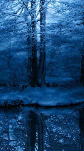 Snowy Forest Scene Wallpaper iPhone