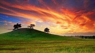 Grass Hill Trees Red Sky High Definition Wallpaper HD