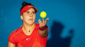 Australian Open Andreescu Advances To Main Draw Polansky