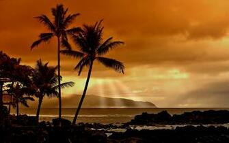 To Wallpaper Just Right Click On Pictures And Select Save