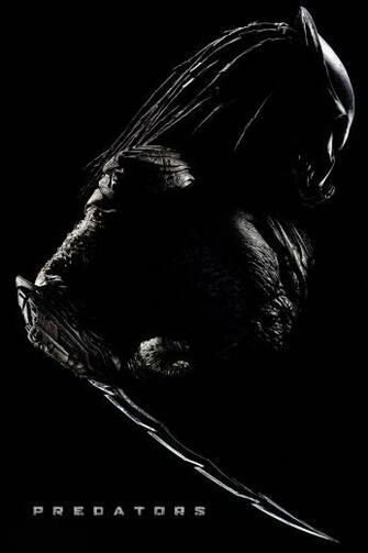 Related Pictures Predator Wallpaper