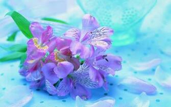 Desktop Wallpaper Flowers