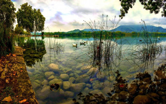 Pond Wallpaper