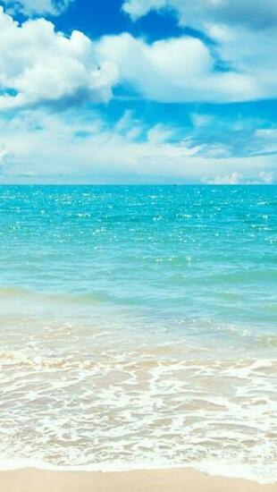 Sunny Day Mobile Wallpaper Mobiles Wall