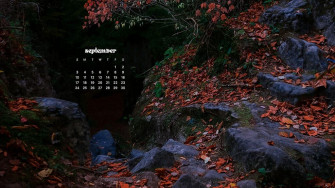 September Wallpaper Bies For Desktop Phones