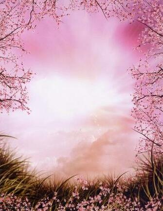 Love Poems Background HD Background Pic Stainless Steel In