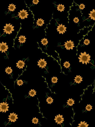 Sunflower In Black Girass Is Papel De Parede Colorido Fotos