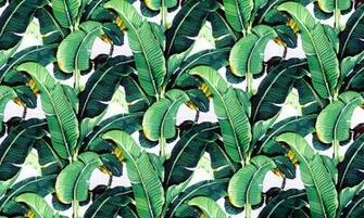 Banana Leaf Wallpaper Design Martinique For The Beverly Hills Hotel