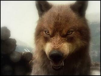 Bd Wolves Twilight Series Wallpaper