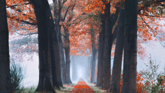 Cute Autumn Wallpaper