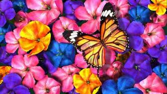 Spring Covers Wallpaper