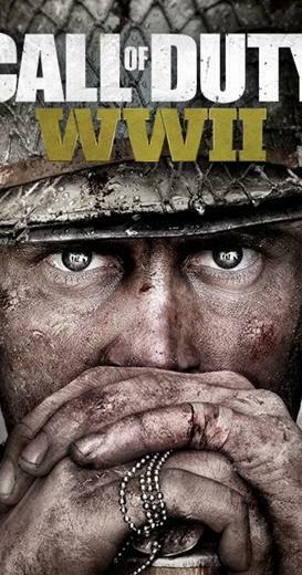Call Of Duty Wwii Video Game