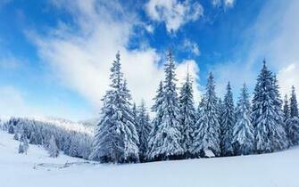 Desktop Background Winter Wallpaper Windows