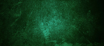 Dark Green Background Gradient With Lush Flora