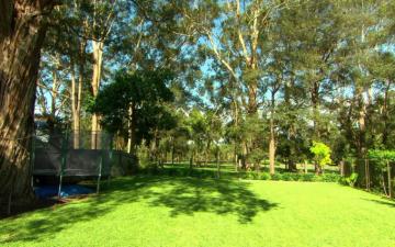 Backyard Background All For You