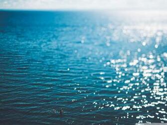 Swimming Wallpaper