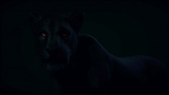 Black Jaguar Wallpaper