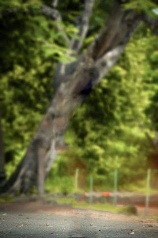 New Natural Background For Photo Editing Tutorial Photoshop Cc