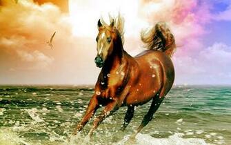 Horse Live Wallpaper Screenshot