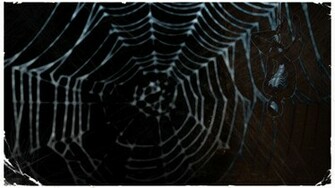 Symbiote Spiderman Wallpaper Spider Man