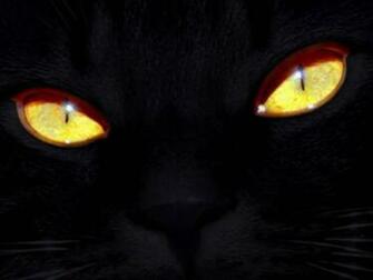Black Cat Eyes Great Detail Wallpaper