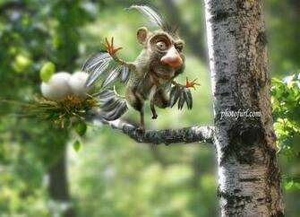 Funny Animal Wallpaper For Desktop Jpg