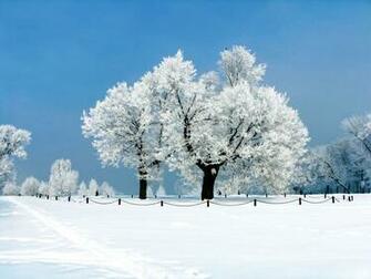 Winter Theme Hyves Standard Background For The Aqua