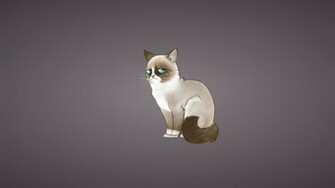 Grumpy Cat Wallpaper