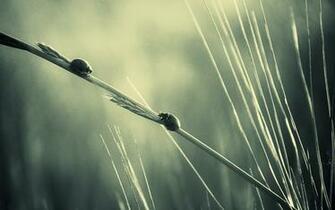 Collection Great Pictures Pure High Definition HD You Can
