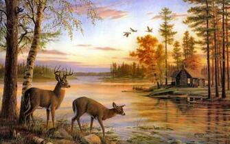 Cabin Lakes Wallpaper Animals Birds HD Desktop