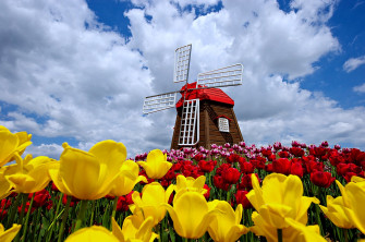 Ultra HD Spring 4k Wallpaper