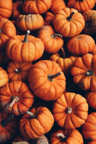 Aesthetic Pumpkin Android iPhone Desktop HD Background
