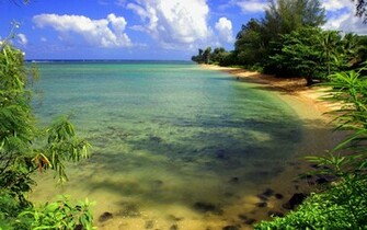 Tropical Island Beach Wallpaper