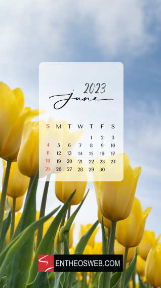 June Calendar Phone Wallpaper Entheosweb