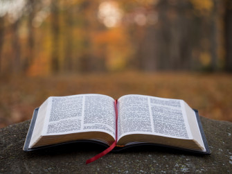 Morning Holy Word Book Bible Truth The Life
