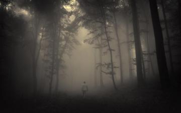 Creepy Foggy Wallpaper On